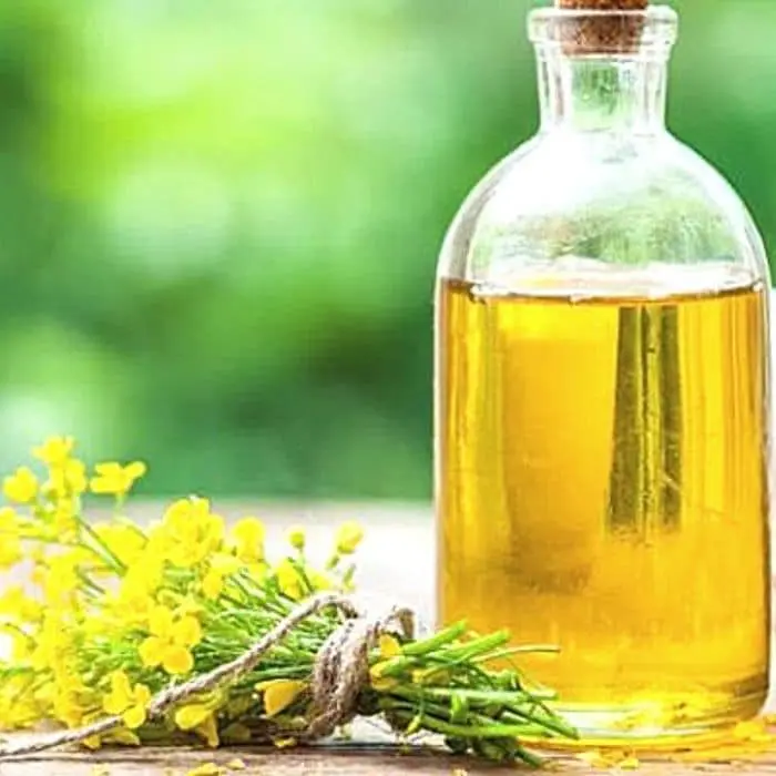 Organic camelina oil grown for our C60