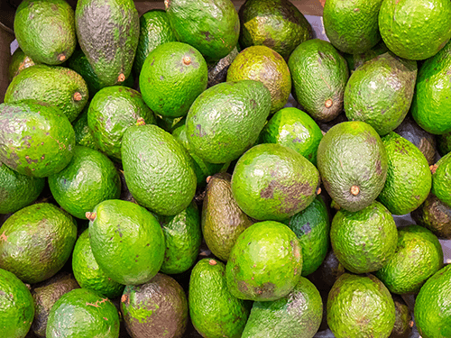 Muchos aguacates frescos, perfectos para nuestro 100ml de aceite de aguacate C60